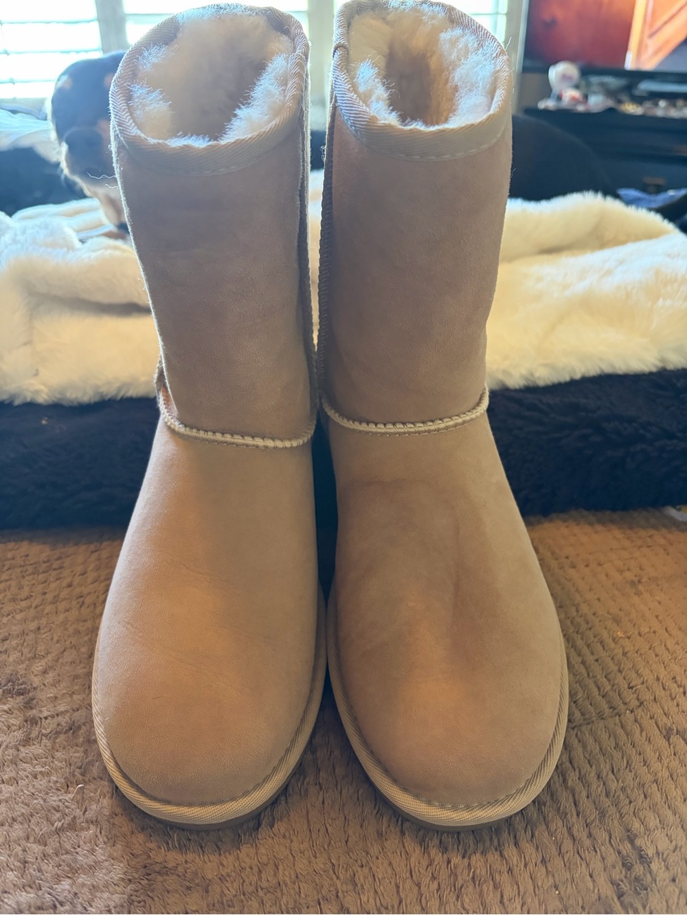 Ugg Tan Classic Women's Shearling Lined Winter Boots - WORN 2x